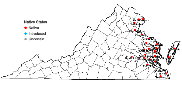 Locations ofEryngium aquaticum L. var. aquaticum in Virginia