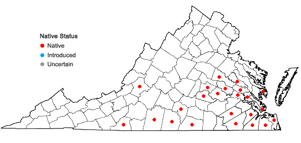 Locations ofEryngium prostratum Nutt. ex DC. in Virginia