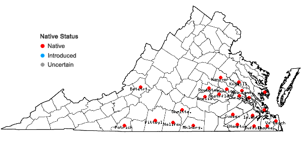 Locations ofEryngium prostratum Nutt. ex DC. in Virginia