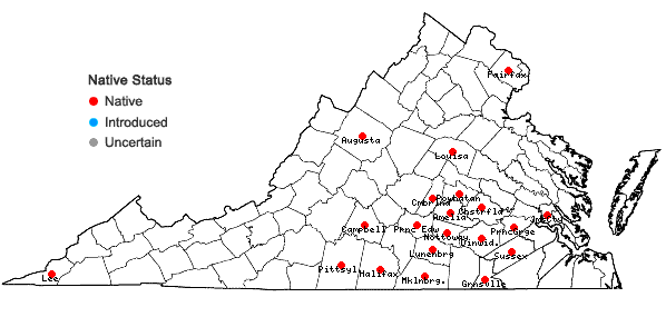 Locations ofEryngium yuccifolium Michx. var. yuccifolium in Virginia