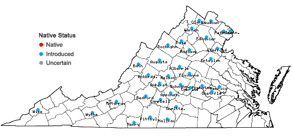 Locations ofErysimum cheiranthoides Linnaeus in Virginia