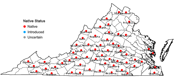 Locations ofErythronium umbilicatum Parks & Hardin ssp. umbilicatum in Virginia