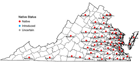 Locations ofEubotrys racemosus (L.) Nutt. in Virginia