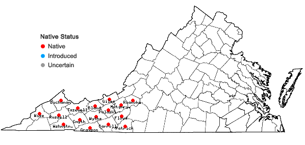 Locations ofEubotrys recurvus (Buckl.) Britt. in Virginia