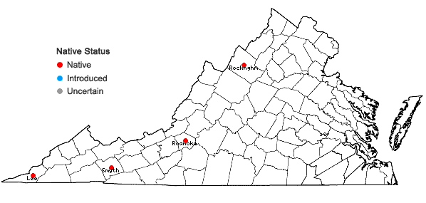 Locations ofEucladium verticillatum (Hedw.) Bruch & Schimp. in Virginia