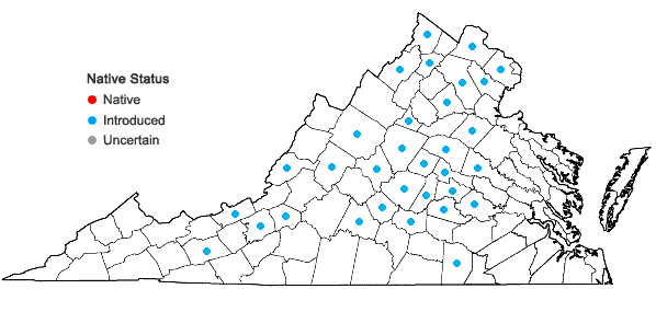 Locations ofEuonymus alatus (Thunb.) Sieb. in Virginia