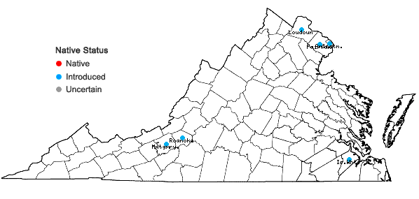 Locations ofEuonymus europaeus L. in Virginia