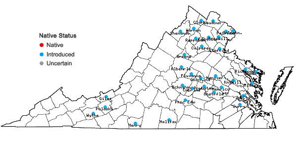 Locations ofEuonymus fortunei (Turcz.) Hand.-Maz. in Virginia