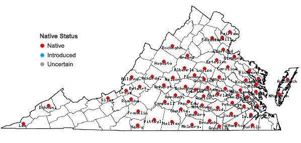 Locations ofEupatorium album L. in Virginia