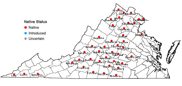 Locations ofEupatorium altissimum L. in Virginia
