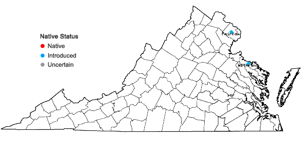 Locations ofEupatorium cannabinum L. in Virginia