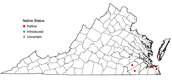 Locations ofEupatorium cordigerum (Fernald) Fernald in Virginia