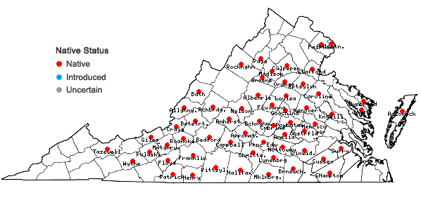 Locations ofEupatorium godfreyanum Cronq. in Virginia