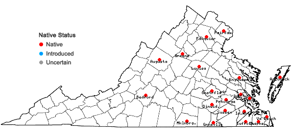 Locations ofEupatorium leucolepis (DC.) Torr. & Gray in Virginia