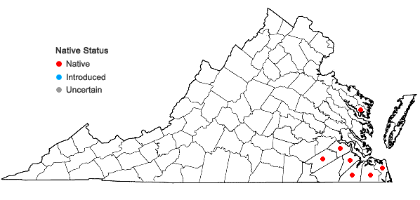 Locations ofEupatorium mohrii Greene in Virginia
