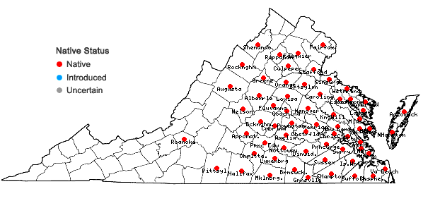 Locations ofEupatorium rotundifolium L. in Virginia