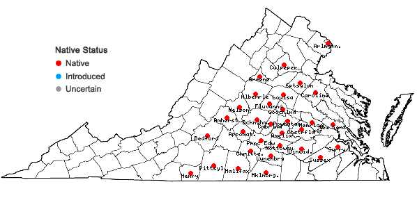 Locations ofEupatorium saltuense Fern. in Virginia