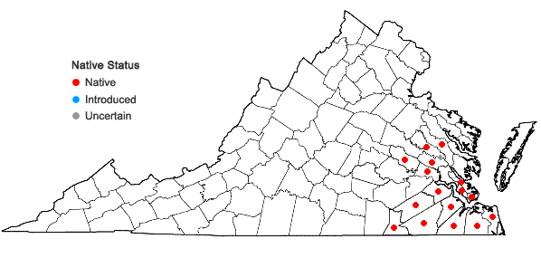 Locations ofEupatorium semiserratum DC. in Virginia