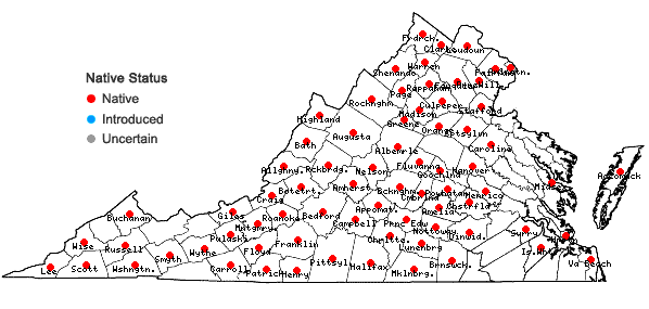 Locations ofEupatorium sessilifolium L. in Virginia