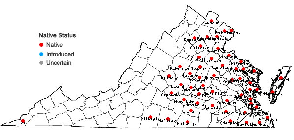 Locations ofEupatorium torreyanum Short and Peter in Virginia