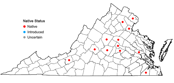 Locations ofEupatorium vaseyi Porter in Virginia