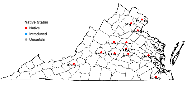Locations ofEupatorium vaseyi Porter in Virginia