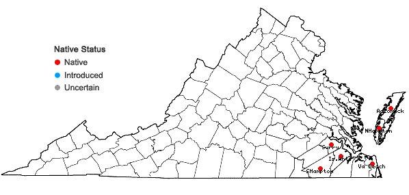 Locations ofEuphorbia bombensis Jacquin in Virginia