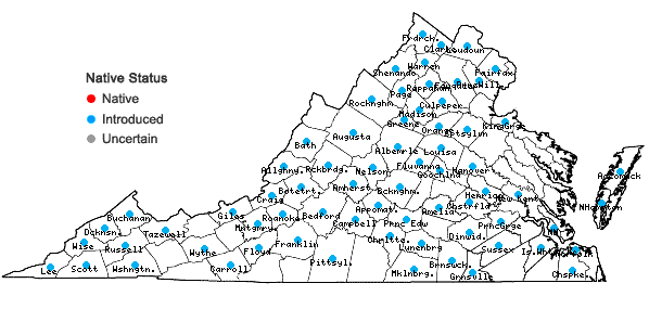 Locations ofEuphorbia dentata Michx. in Virginia
