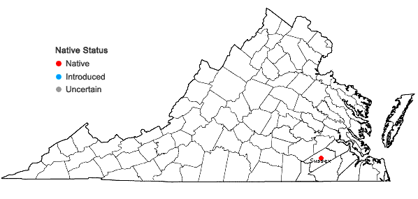 Locations ofEuphorbia exserta (Small) Coker in Virginia