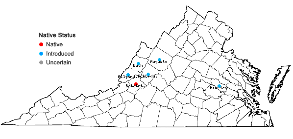Locations ofEuphorbia falcata L. in Virginia