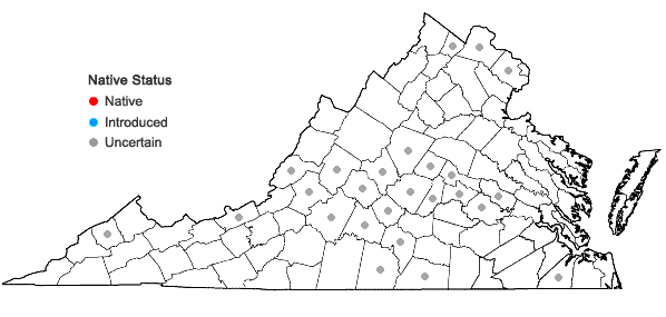 Locations ofEuphorbia humistrata Engelm. in Virginia