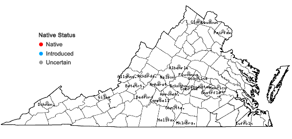 Locations ofEuphorbia humistrata Engelm. in Virginia