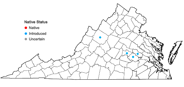 Locations ofEuphorbia hypericifolia L. in Virginia