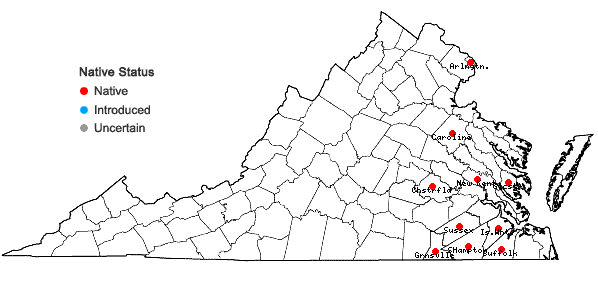 Locations ofEuphorbia ipecacuanhae L. in Virginia
