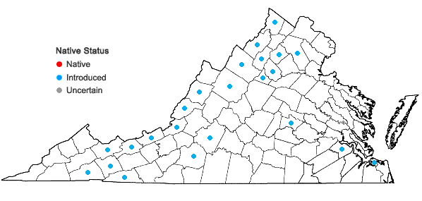 Locations ofEuphorbia lathyris L. in Virginia