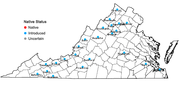 Locations ofEuphorbia lathyris L. in Virginia