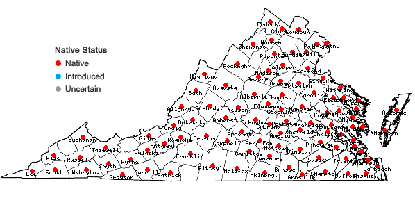 Locations ofEuphorbia maculata L. in Virginia