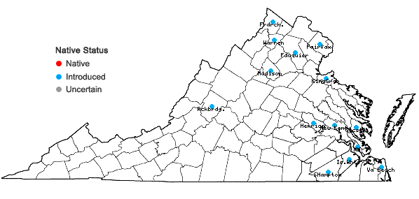 Locations ofEuphorbia marginata Pursh in Virginia