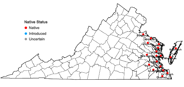 Locations ofEuphorbia polygonifolia L. in Virginia
