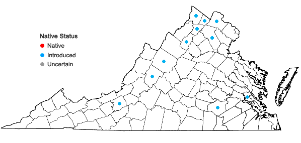 Locations ofEuphorbia prostrata Aiton in Virginia
