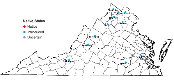 Locations ofEuphorbia prostrata Aiton in Virginia