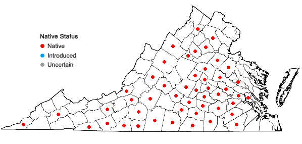 Locations ofEuphorbia pubentissima Michx. in Virginia
