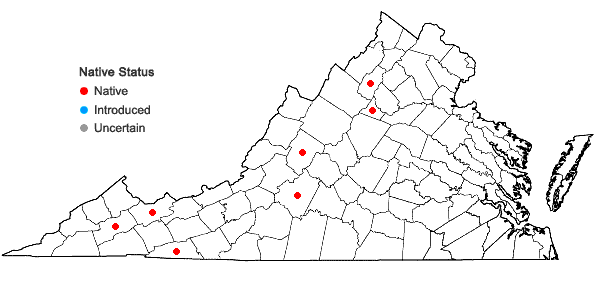 Locations ofEuphorbia purpurea (Raf.) Fern. in Virginia