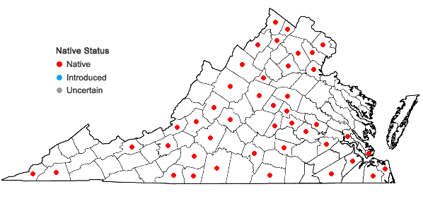 Locations ofEuphorbia spathulata Lam. in Virginia