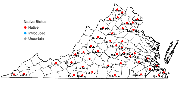Locations ofEuphorbia spathulata Lam. in Virginia