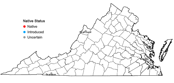 Locations ofEuphorbia vermiculata Raf. in Virginia