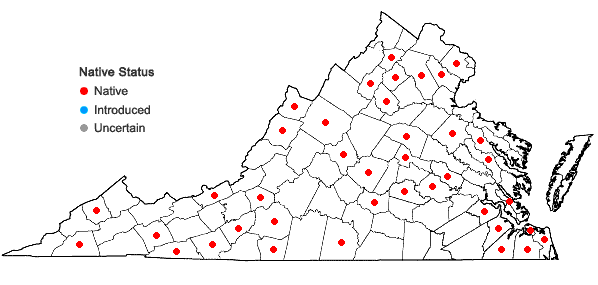 Locations ofEurhynchiastrum pulchellum (Hedw.) Ignatov & Huttunen var. pulchellum in Virginia