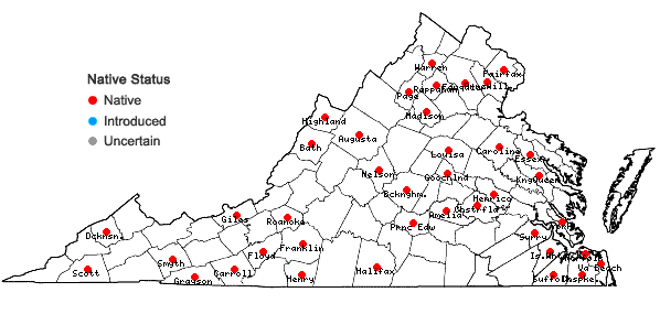 Locations ofEurhynchiastrum pulchellum (Hedw.) Ignatov & Huttunen var. pulchellum in Virginia