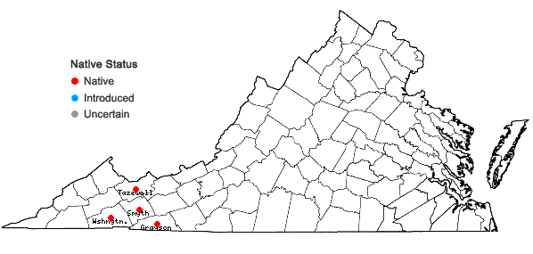 Locations ofEurybia chlorolepis (Burgess) Nesom in Virginia