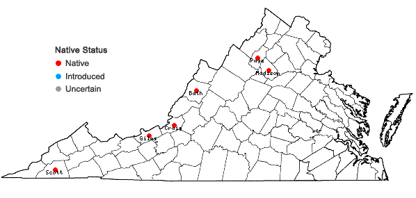 Locations ofEurybia radula (Ait.) Nesom in Virginia